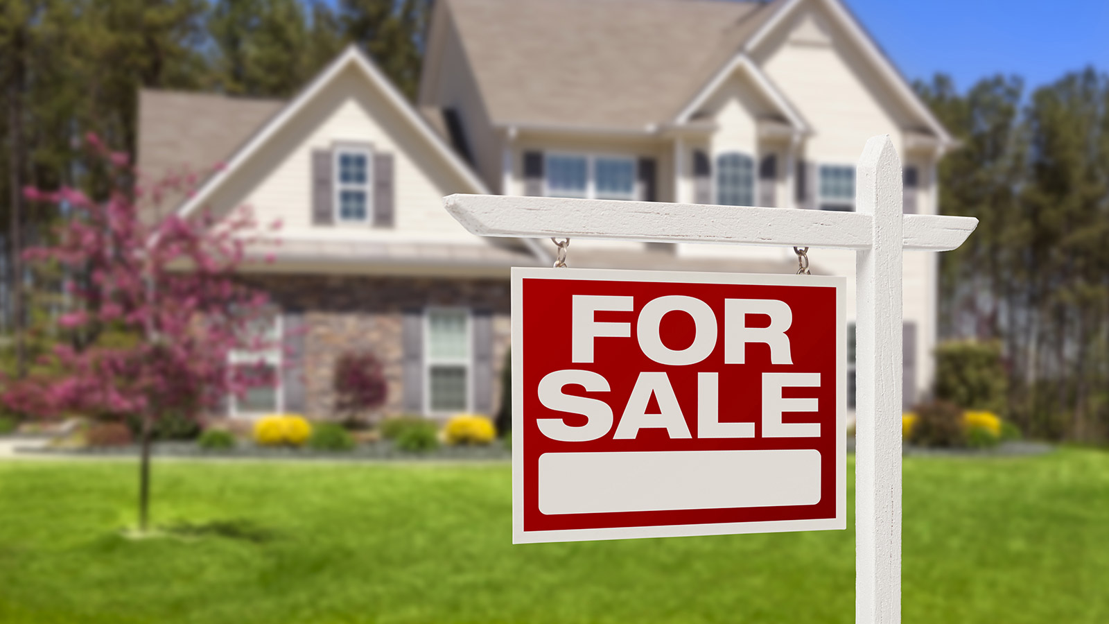 Navigating REO Investments: A Comprehensive Guide for Investors